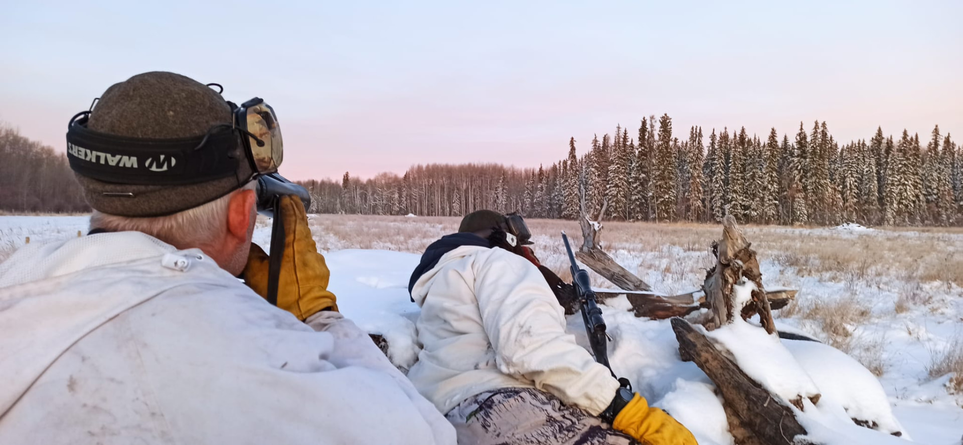 Two hunters in a snowy field at dawn, one glassing with binoculars while the other shoots from behind fallen logs
